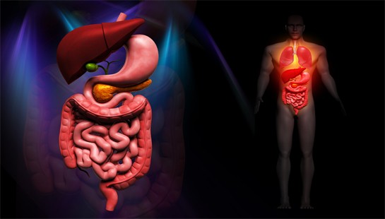 FARMACOLOGÍA DEL APARATO DIGESTIVO