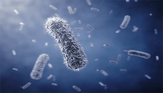 FARMACOLOGÍA DE LAS ENFERMEDADES INFECCIOSAS