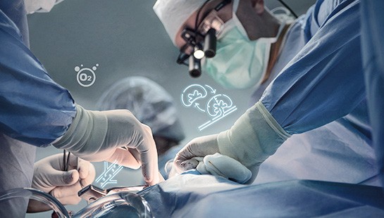 ATENCIÓN DE ENFERMERÍA AL PACIENTE EN EL PROCESO DE TRASPLANTE RENAL